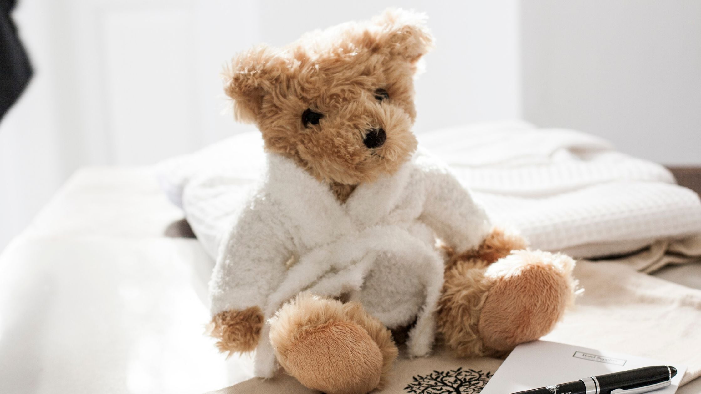 Embrace Hospitality with Our Cuddly Companions: Introducing Hotel Supp